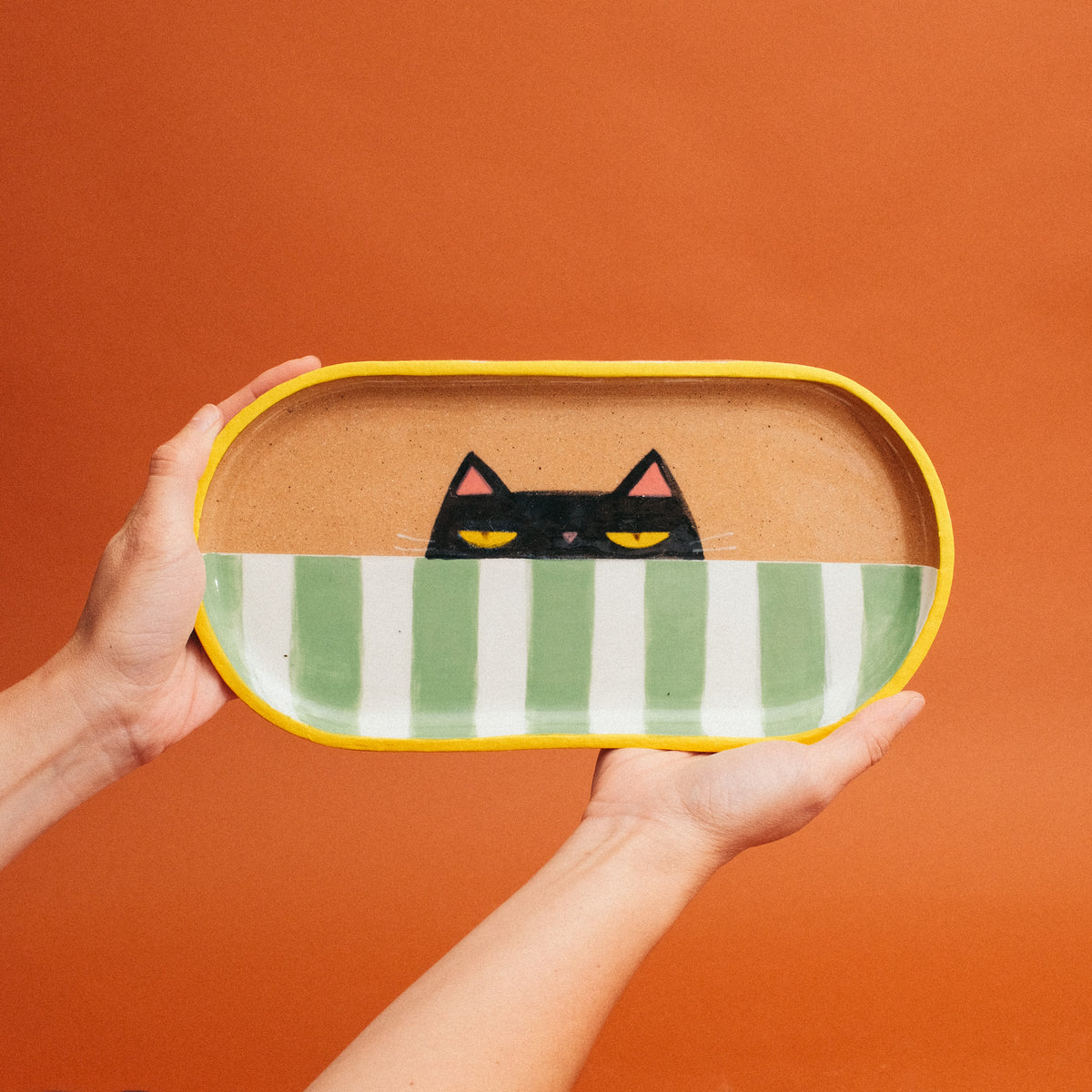 Striped Peekaboo Cat Tray