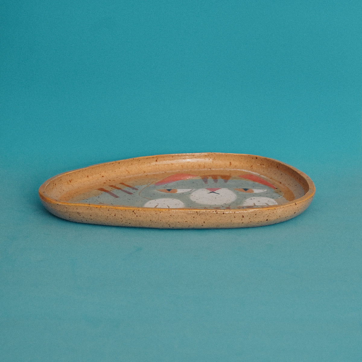 Mint Tabby Pebble Coupe Plate